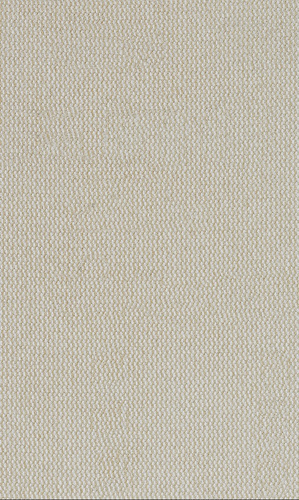 Siatka szlifierska EXPERT M480 do szlifierek oscylacyjnych 80 x 133 mm, G 220, 10 szt.